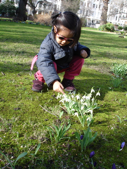 21 feb spring 3.jpg